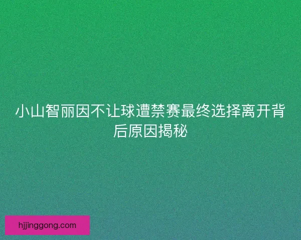 小山智丽因不让球遭禁赛最终选择离开背后原因揭秘