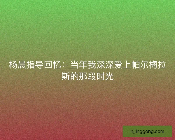 杨晨指导回忆：当年我深深爱上帕尔梅拉斯的那段时光